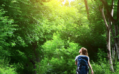 The Benefits of Being in Nature for the Healing Brain