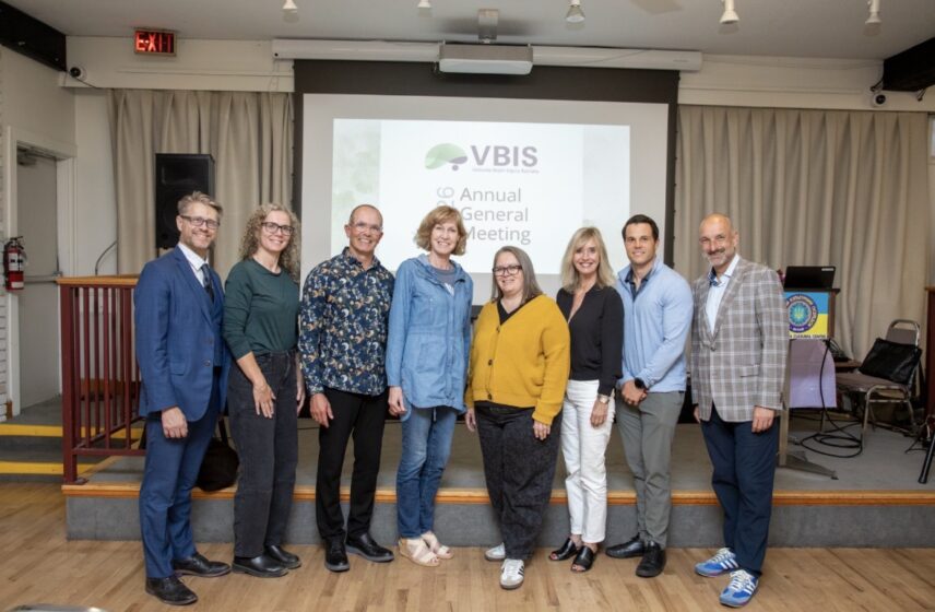VBIS Board